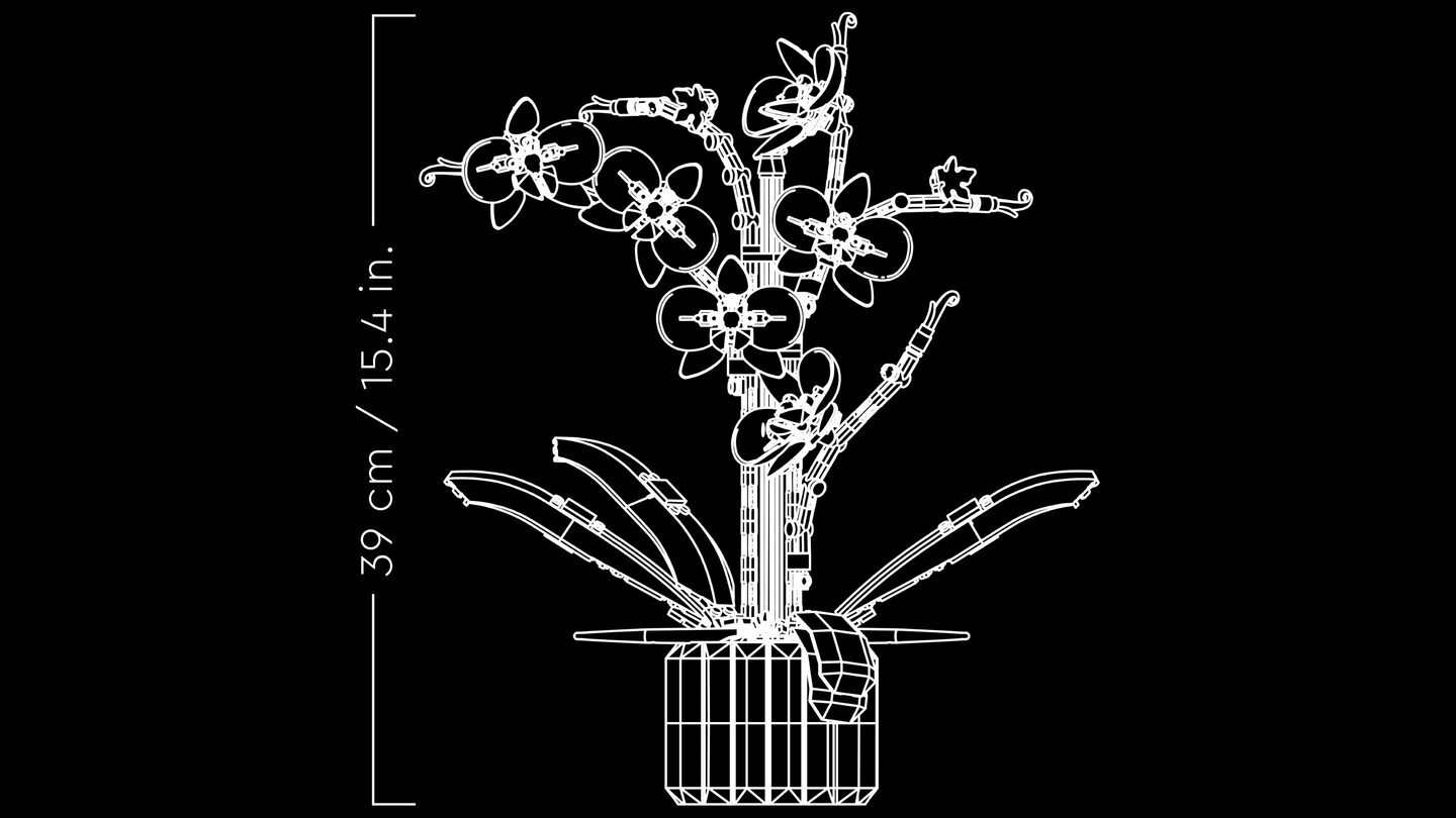 Orchidee — Afbeelding 10