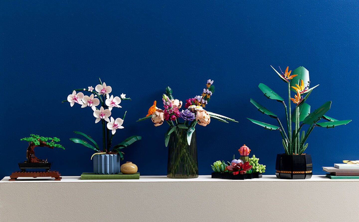 Orchidee — Afbeelding 9