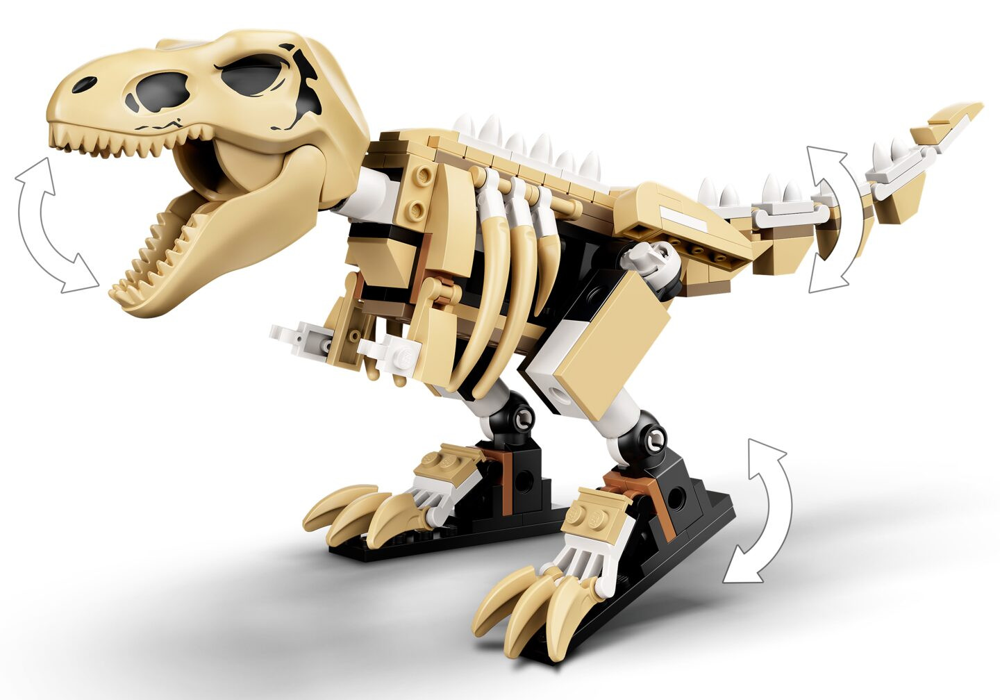 Tentoonstelling dinosaurusfossiel van T. rex — Afbeelding 7