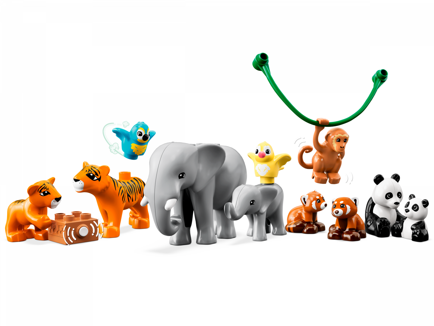 Wilde dieren van Azië — Afbeelding 4