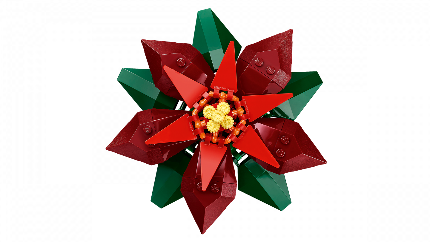 Kerstster — Afbeelding 4