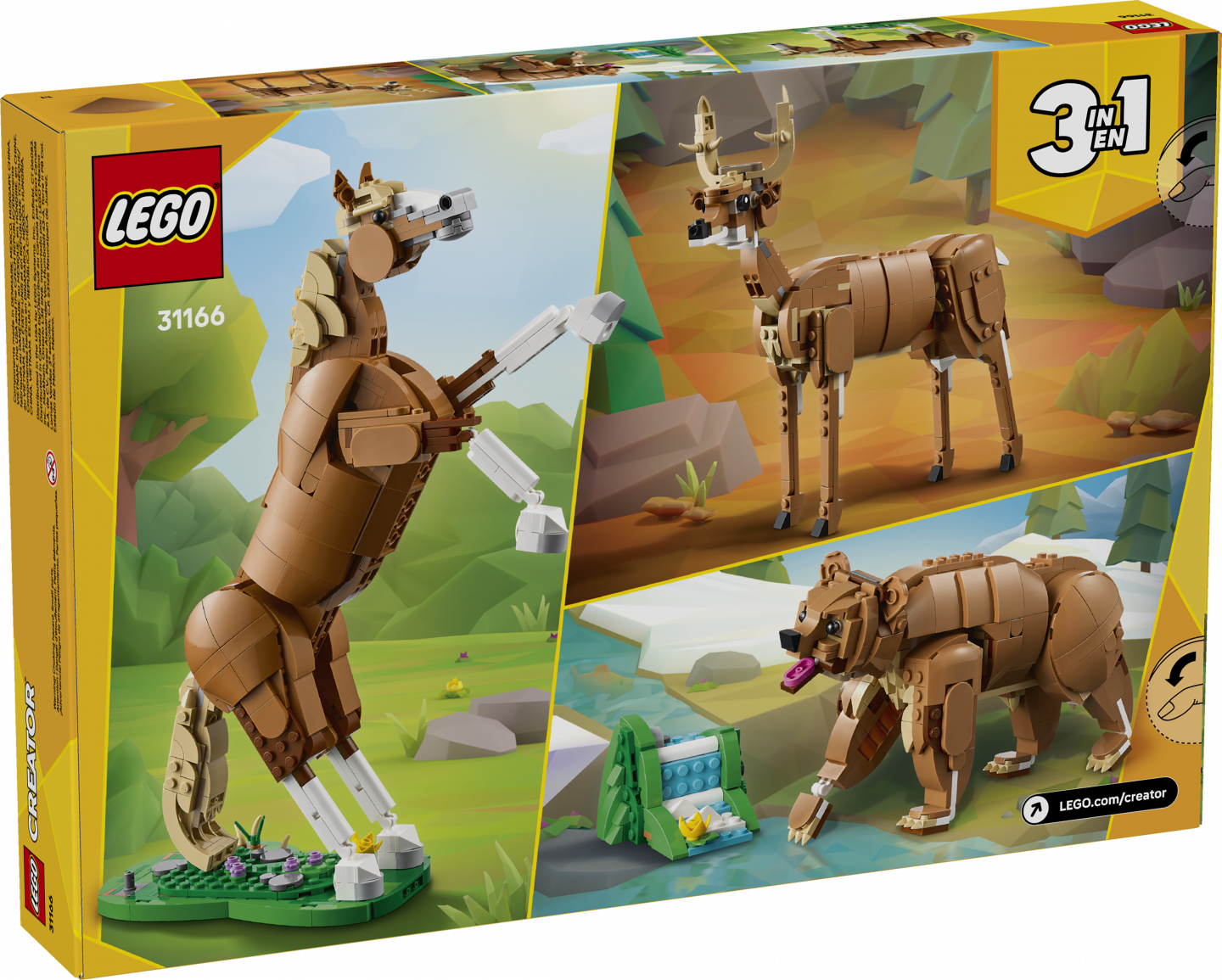 Prachtig paard — Afbeelding 3