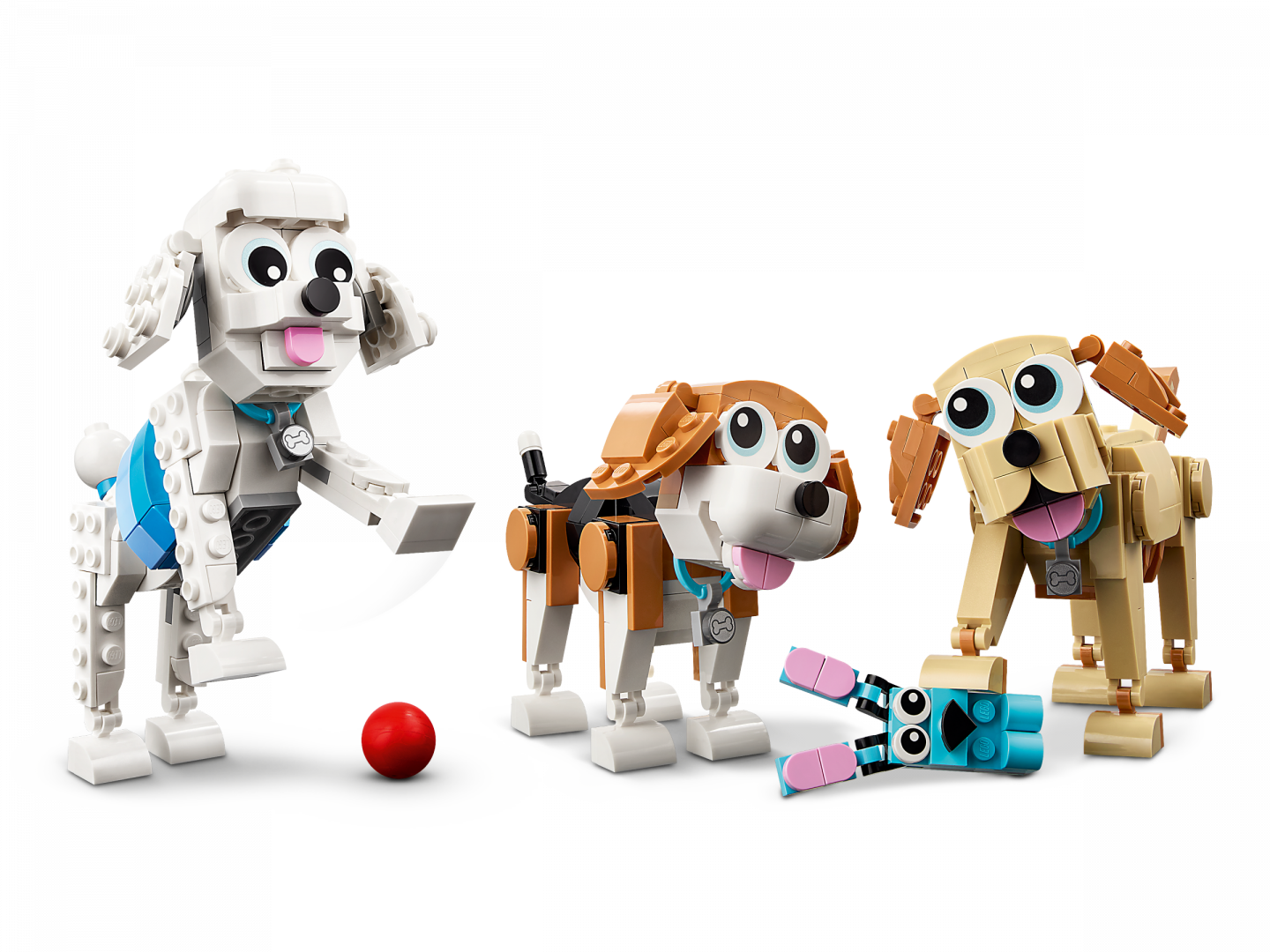 Schattige honden — Afbeelding 3