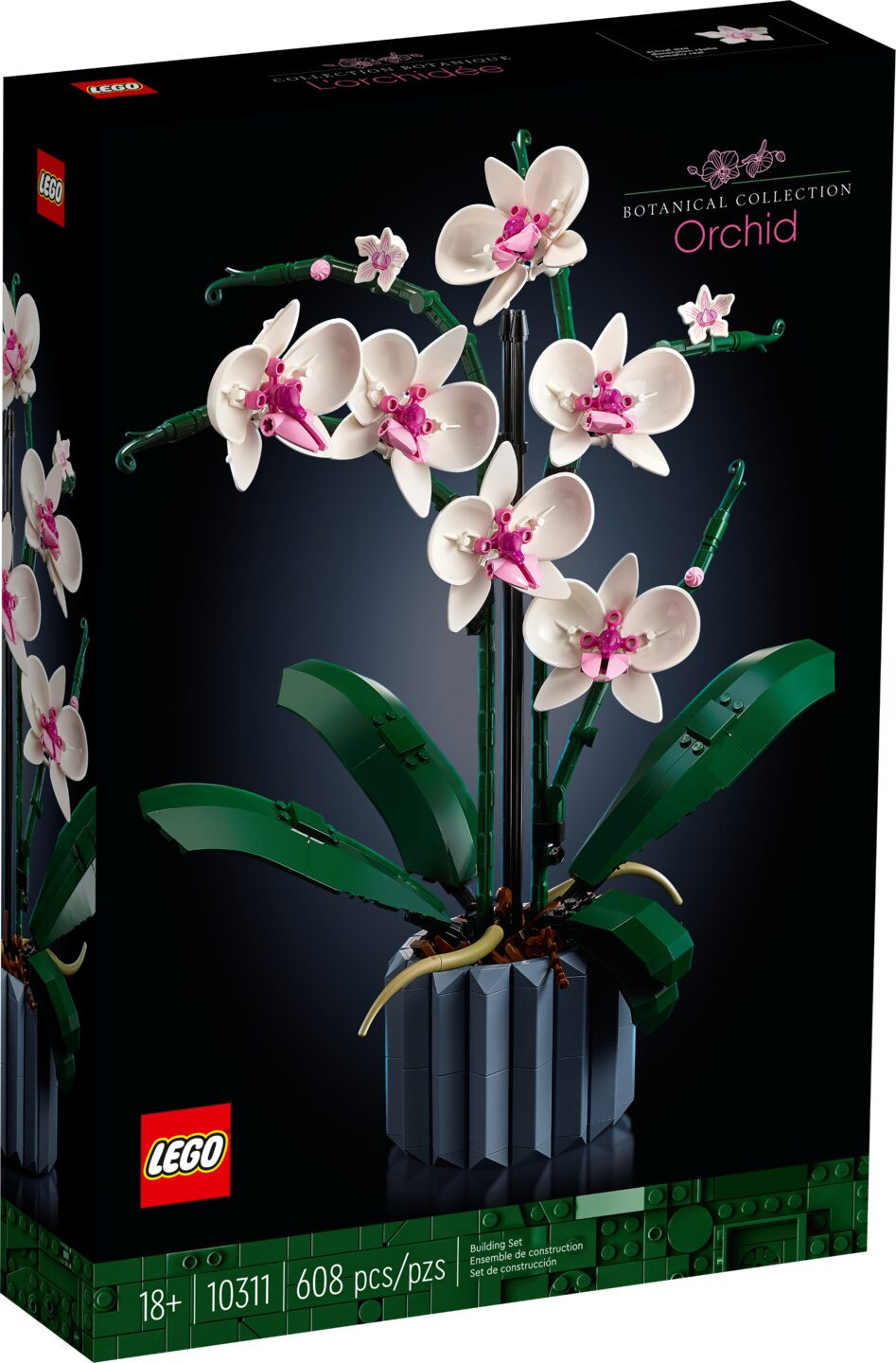 Orchidee — Afbeelding 2