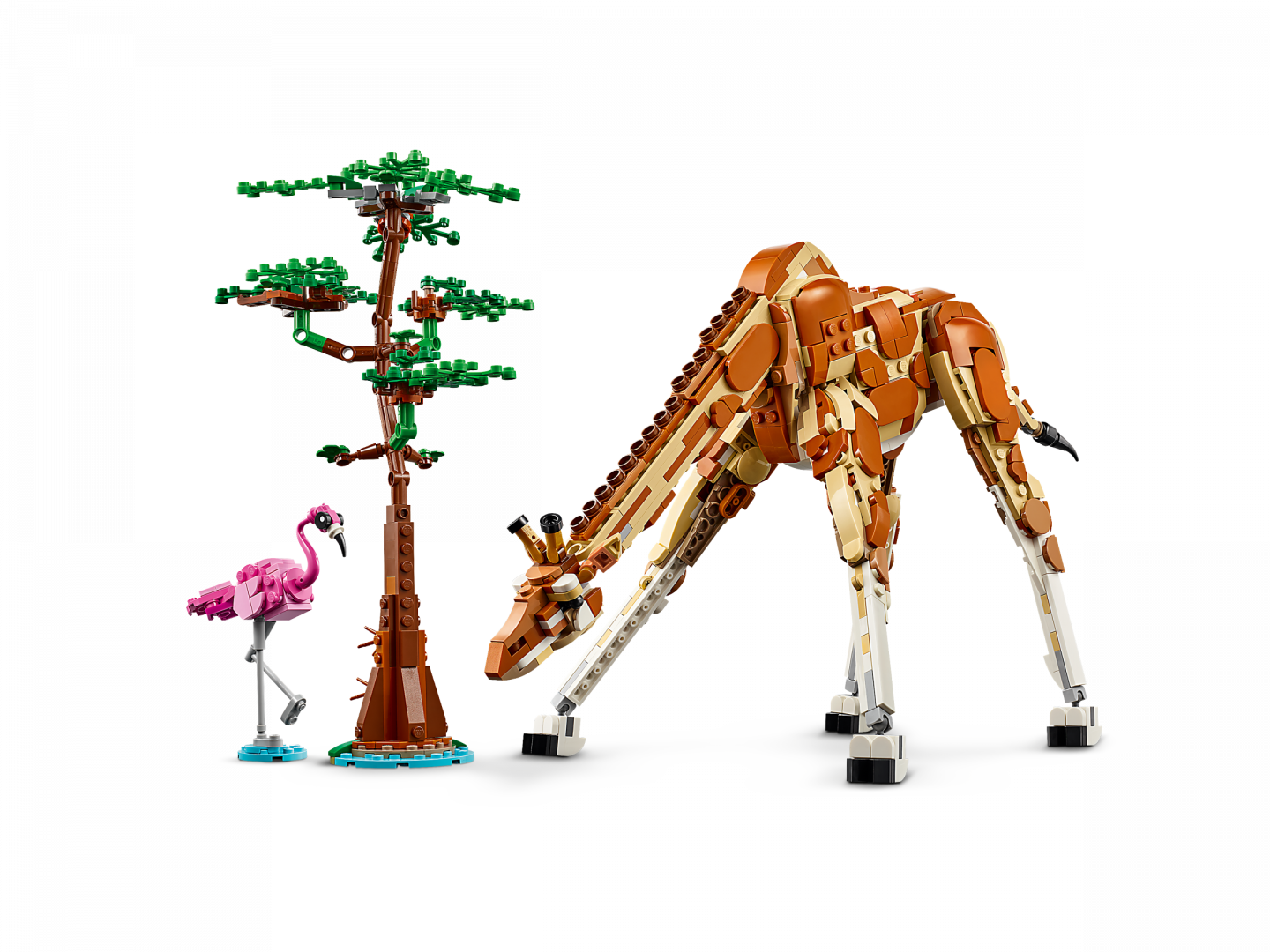 Safaridieren — Afbeelding 3