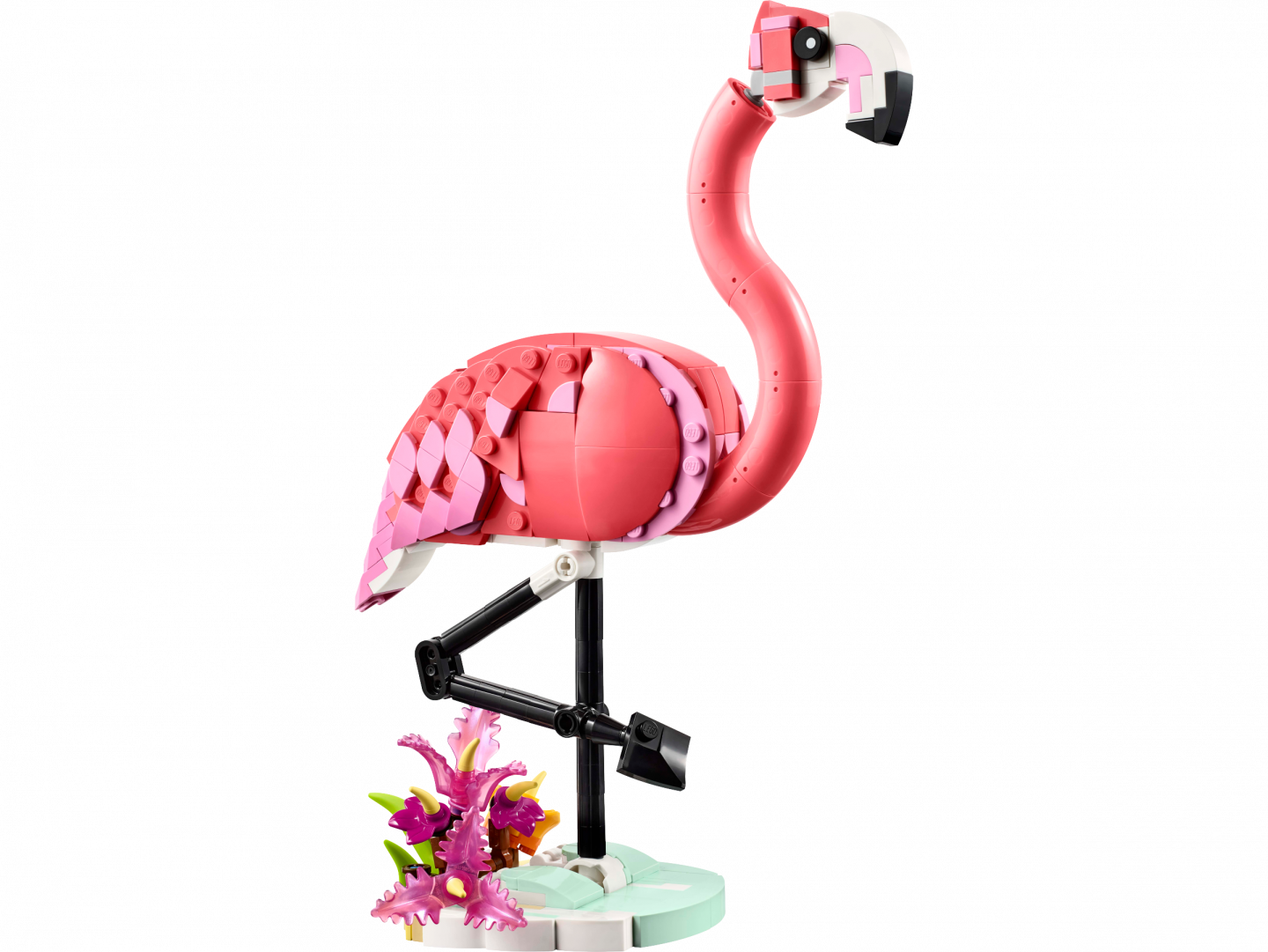 Wilde dieren: roze flamingo