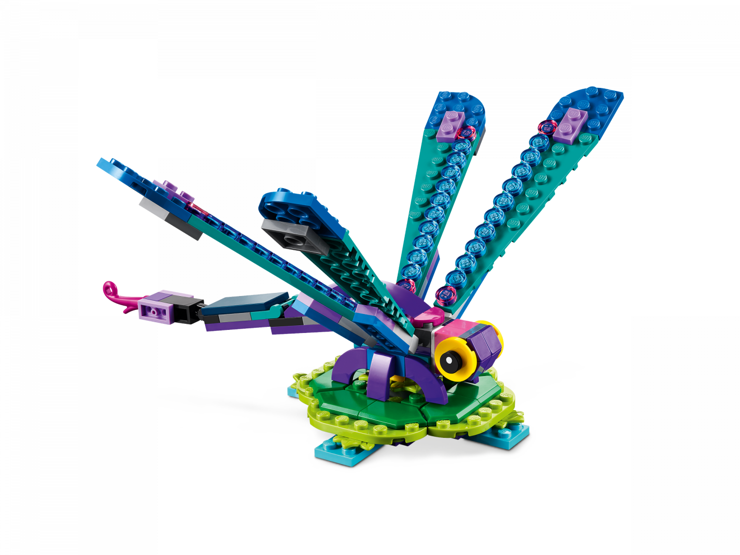 Exotische pauw — Afbeelding 4