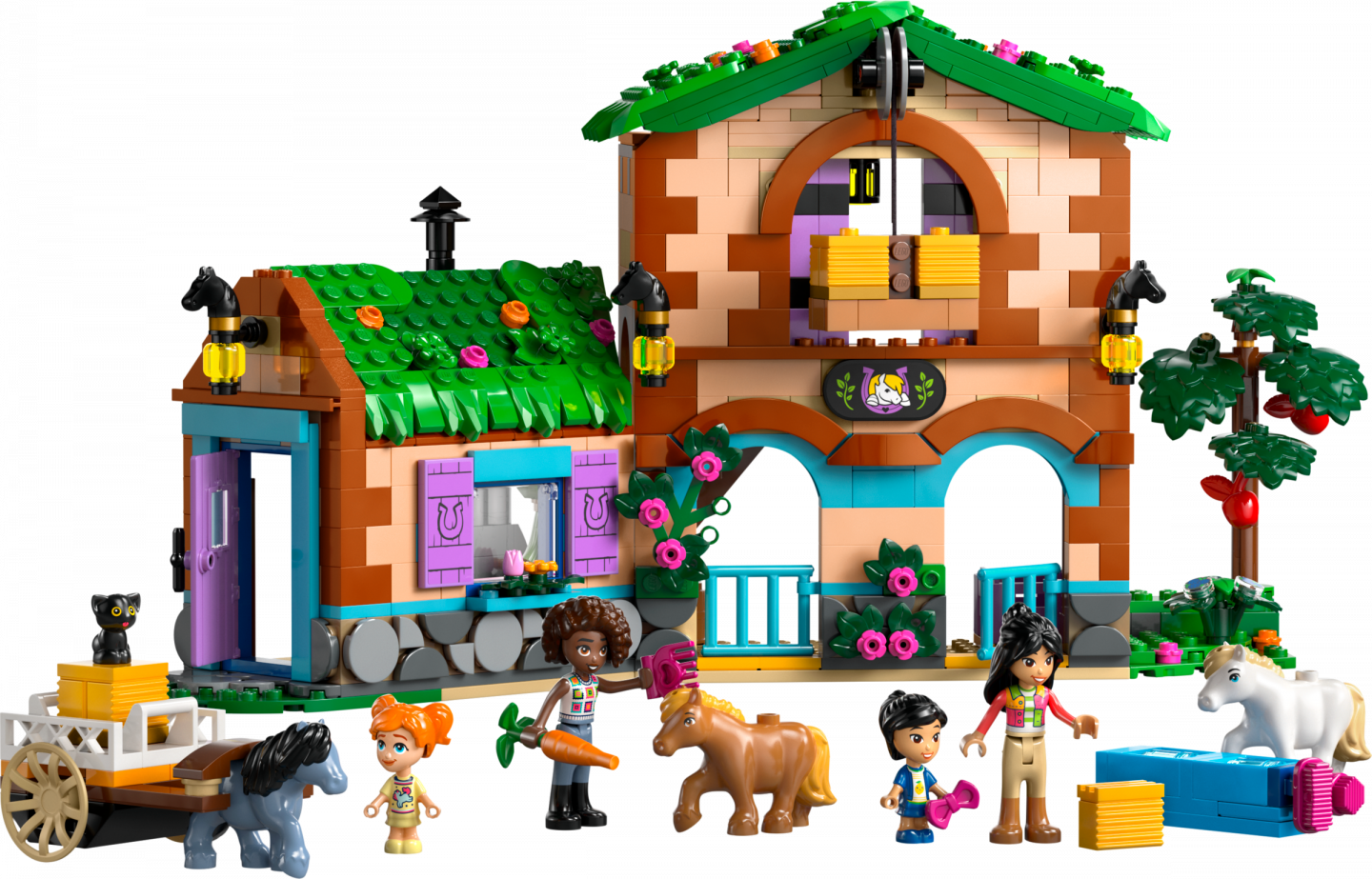 Ponyboerderij en stal