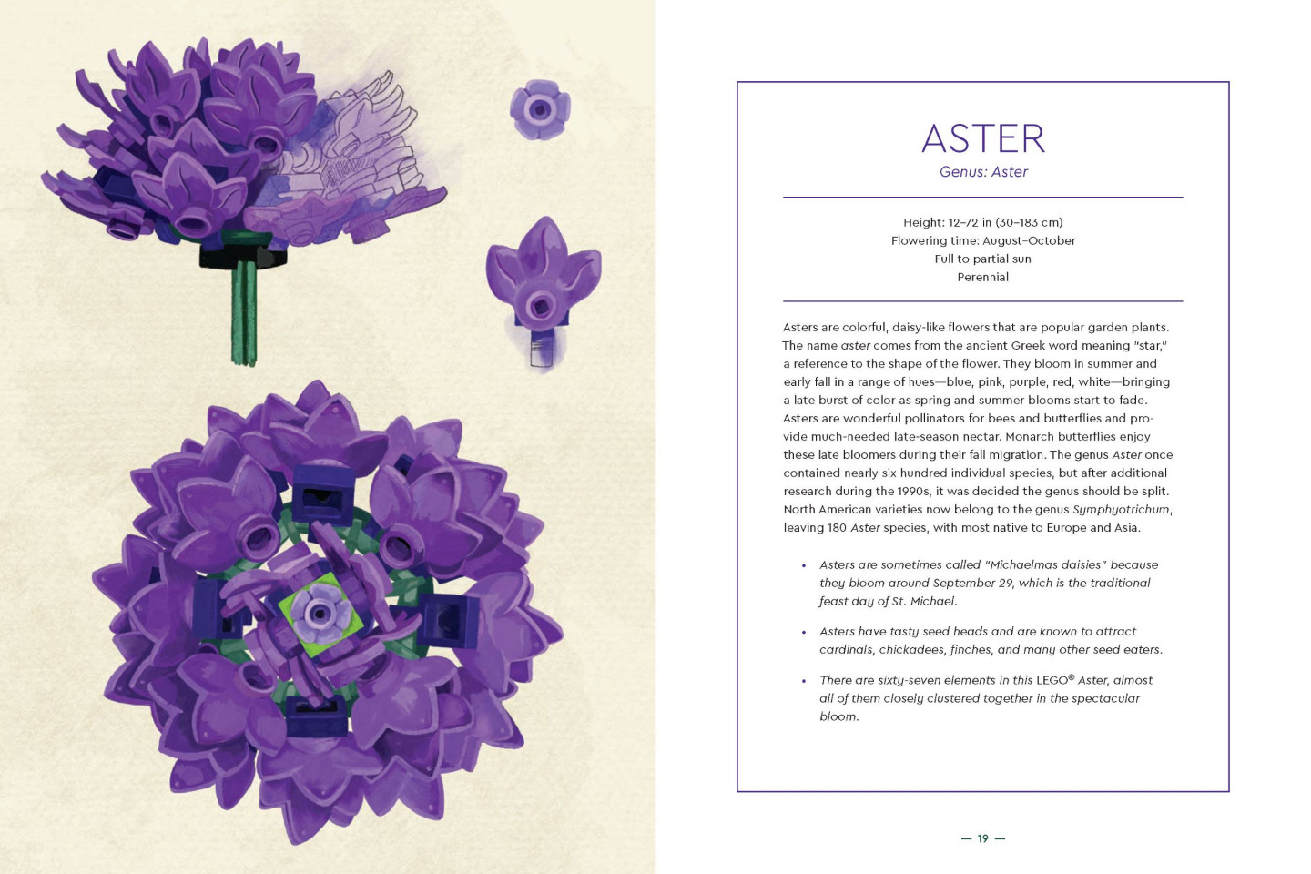 Botanical Almanac — Afbeelding 5