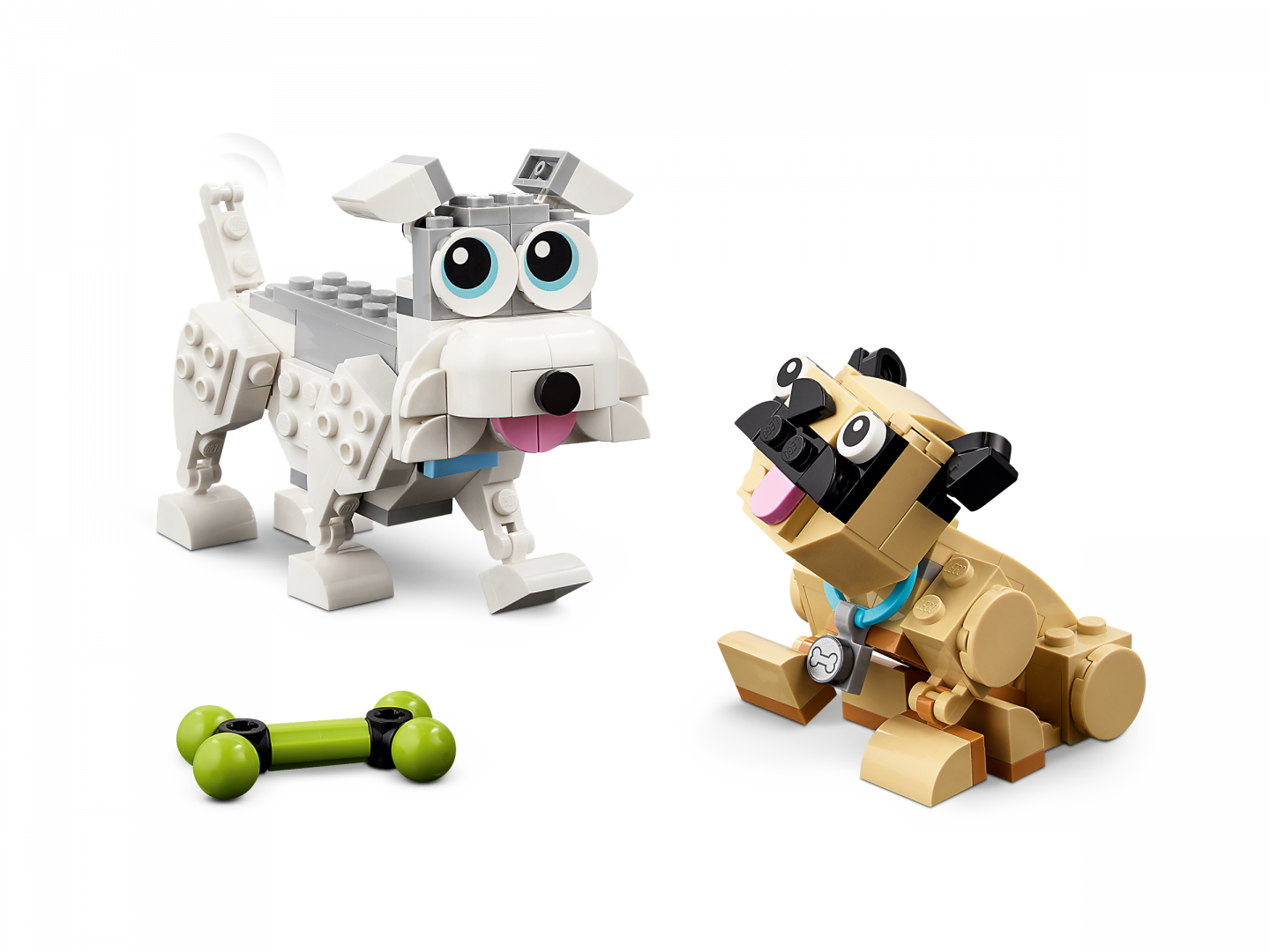 Schattige honden — Afbeelding 5