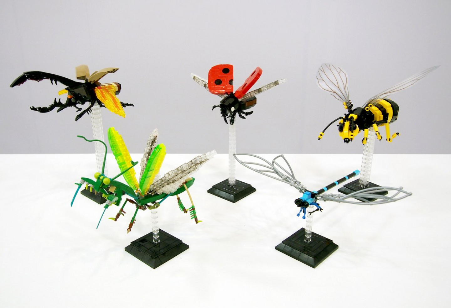 Ontdek LEGO Ideas 21342: The Insect Collection