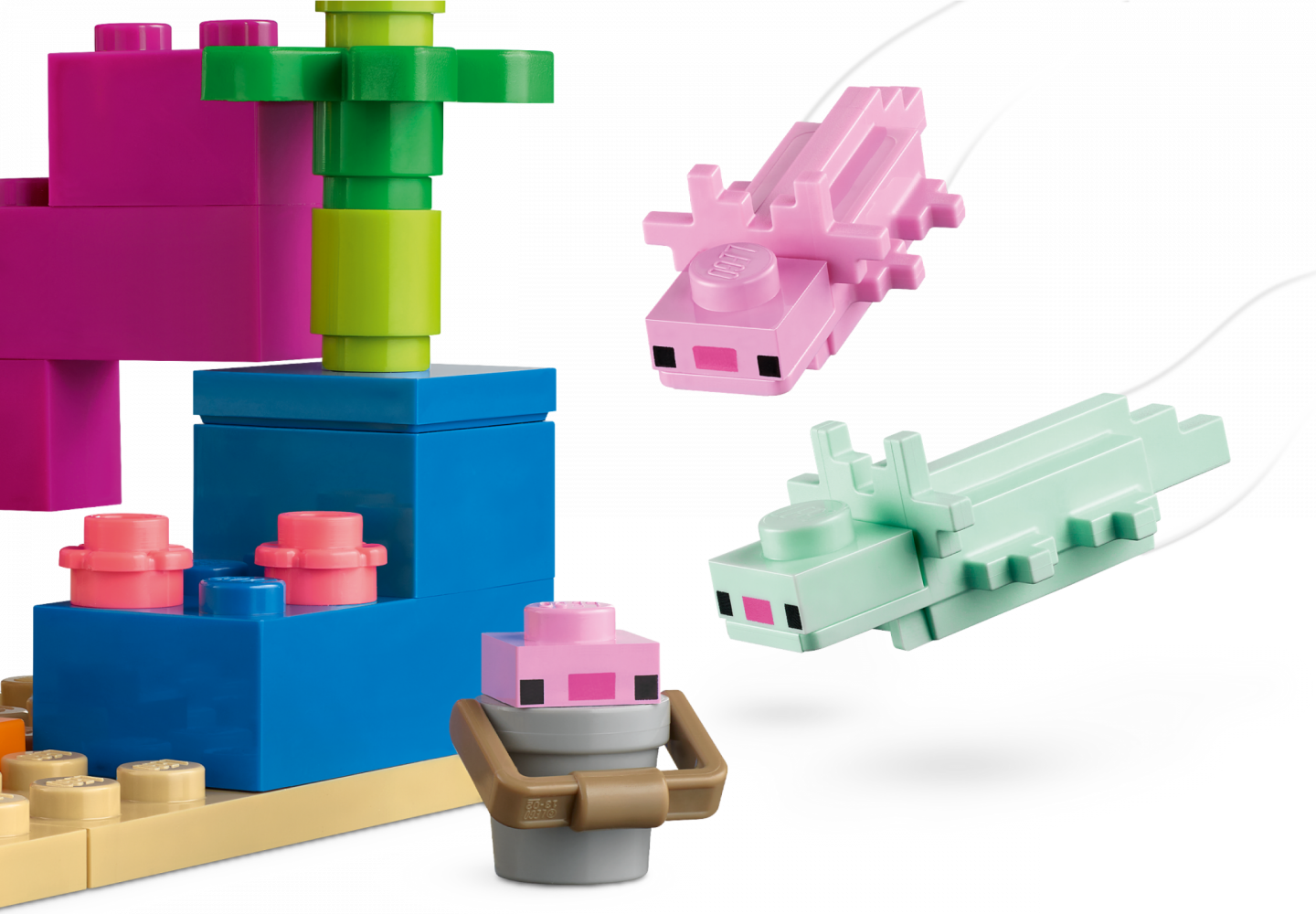Het axolotlhuis — Afbeelding 4