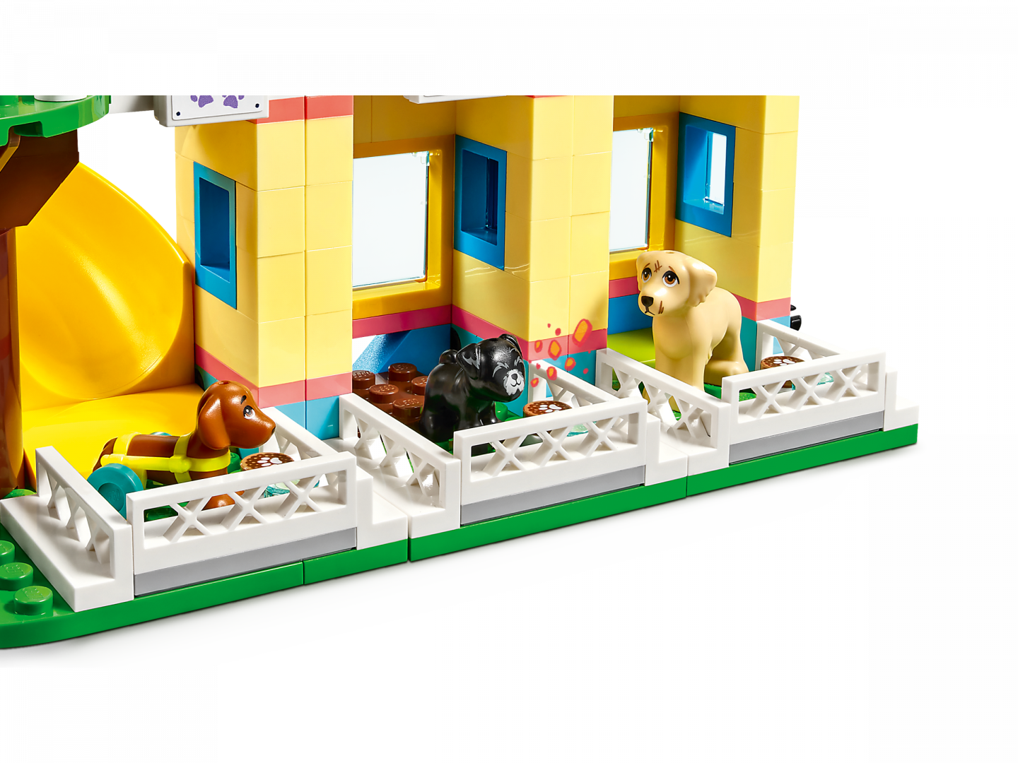 Honden reddingscentrum — Afbeelding 6