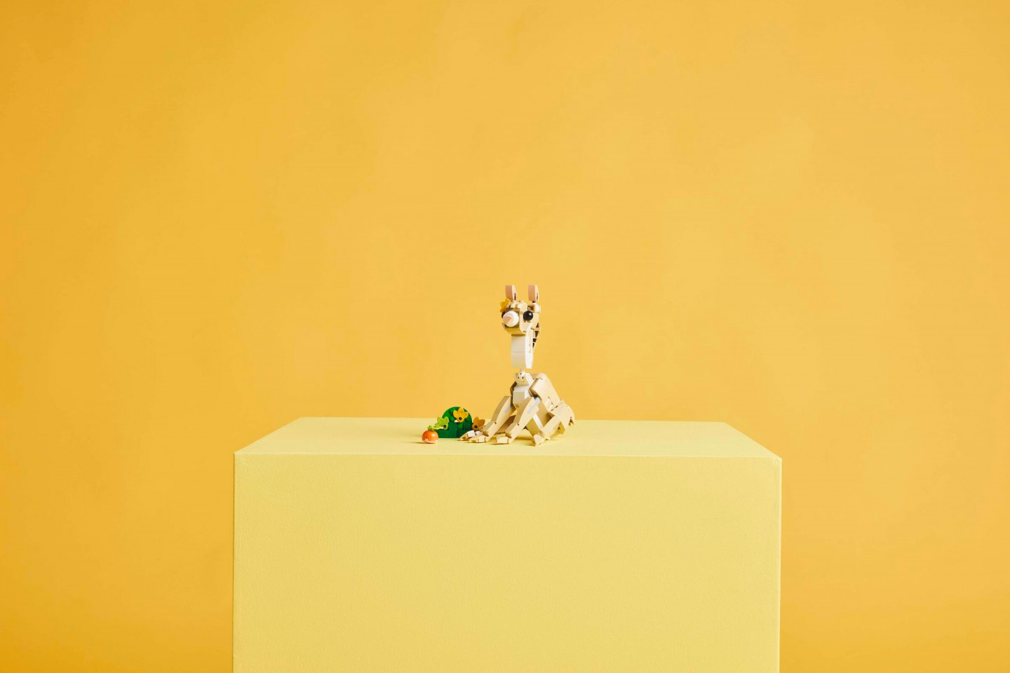 Lief konijn — Afbeelding 10