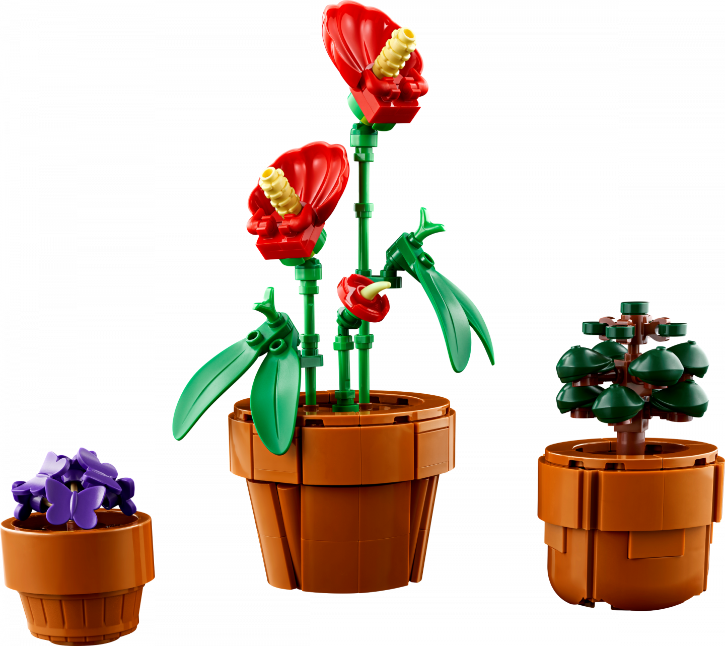 Miniplantjes — Afbeelding 4