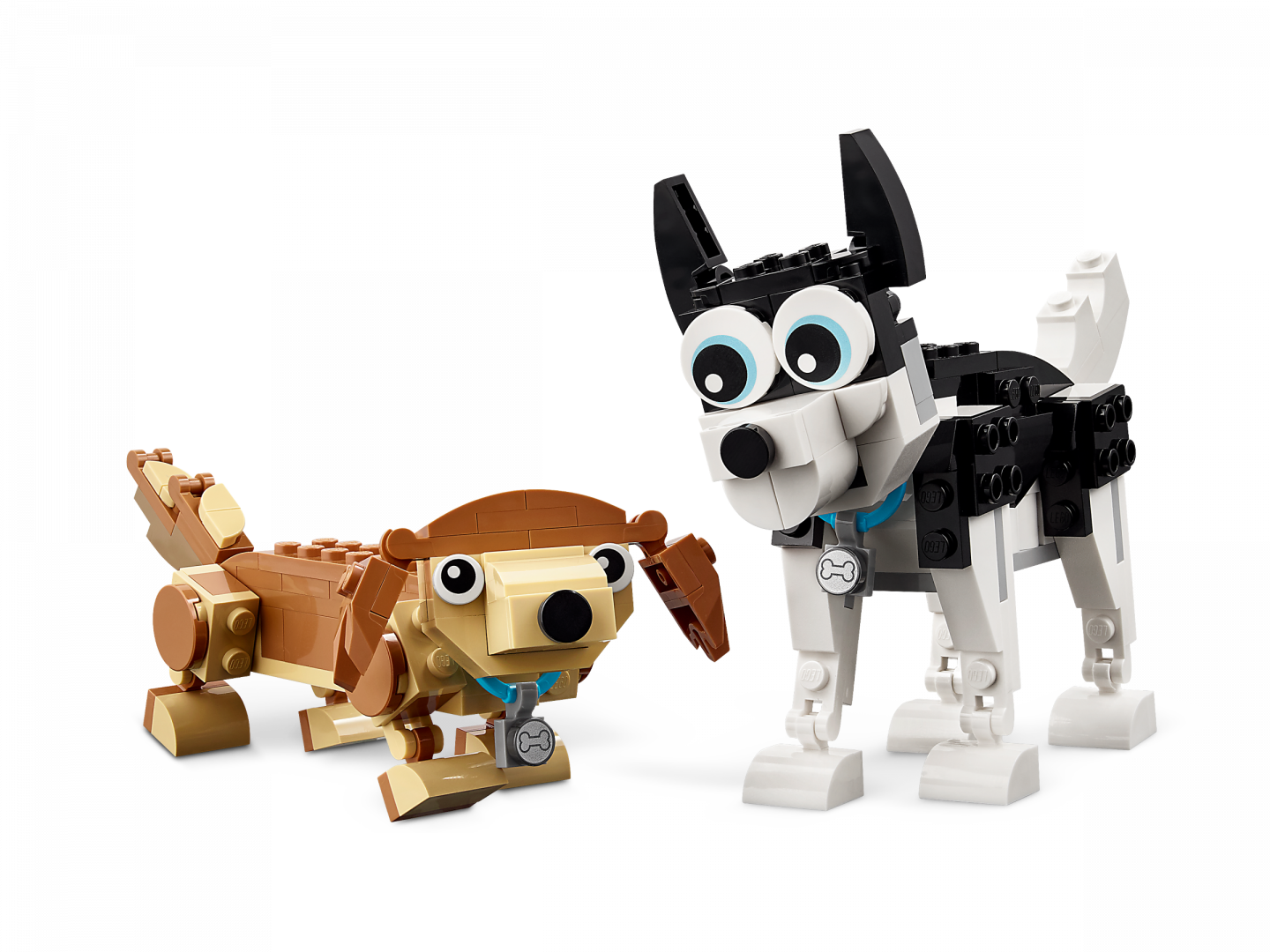 Schattige honden — Afbeelding 6