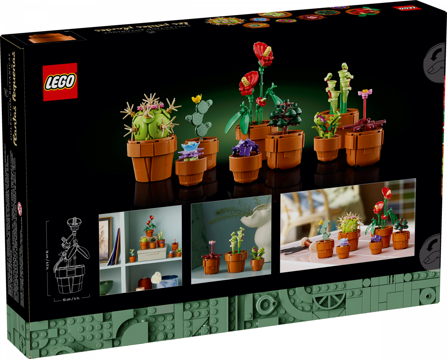 Miniplantjes — Afbeelding 6