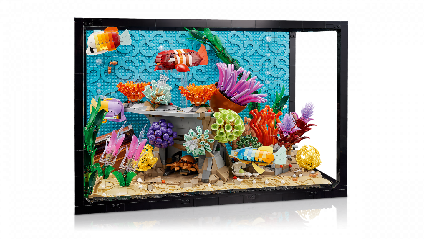 Tropisch aquarium — Afbeelding 5