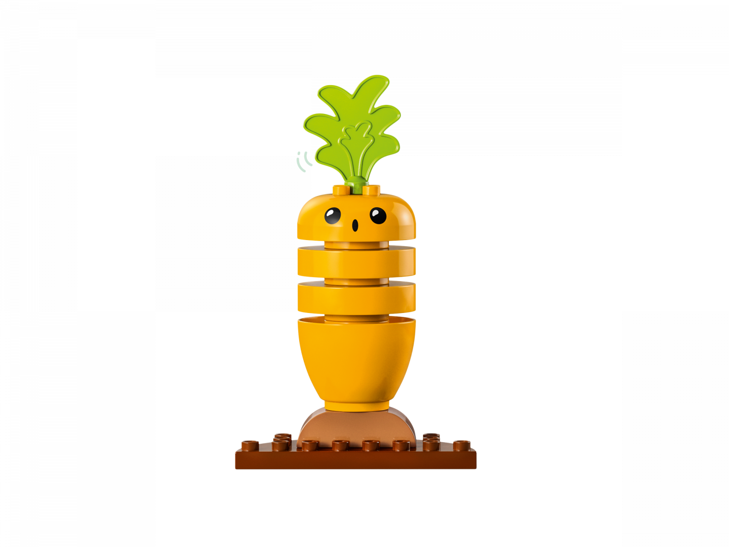 Biotuintje — Afbeelding 4