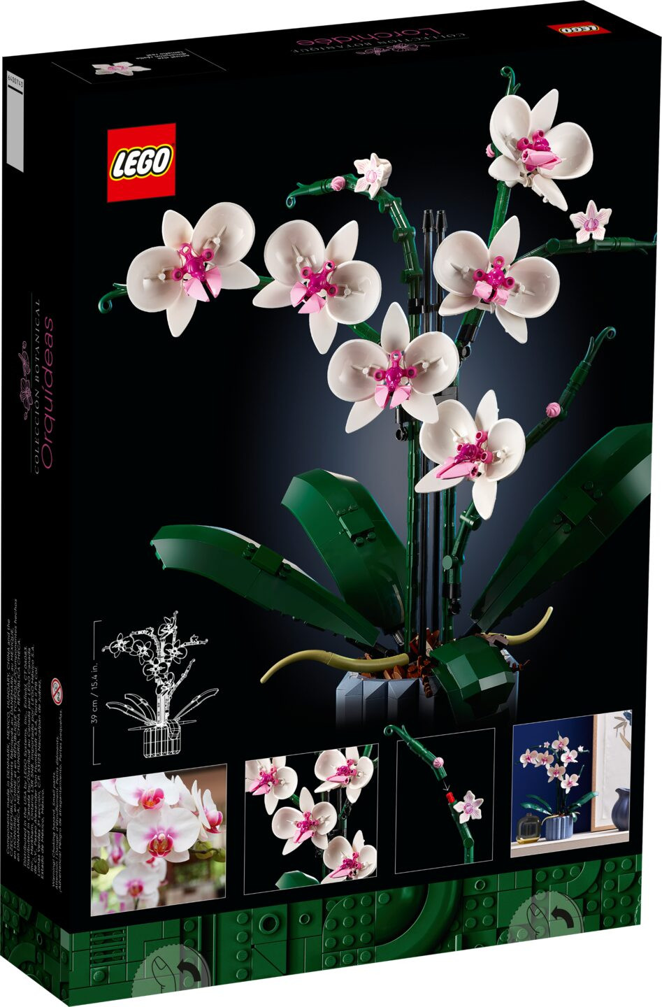 Orchidee — Afbeelding 6