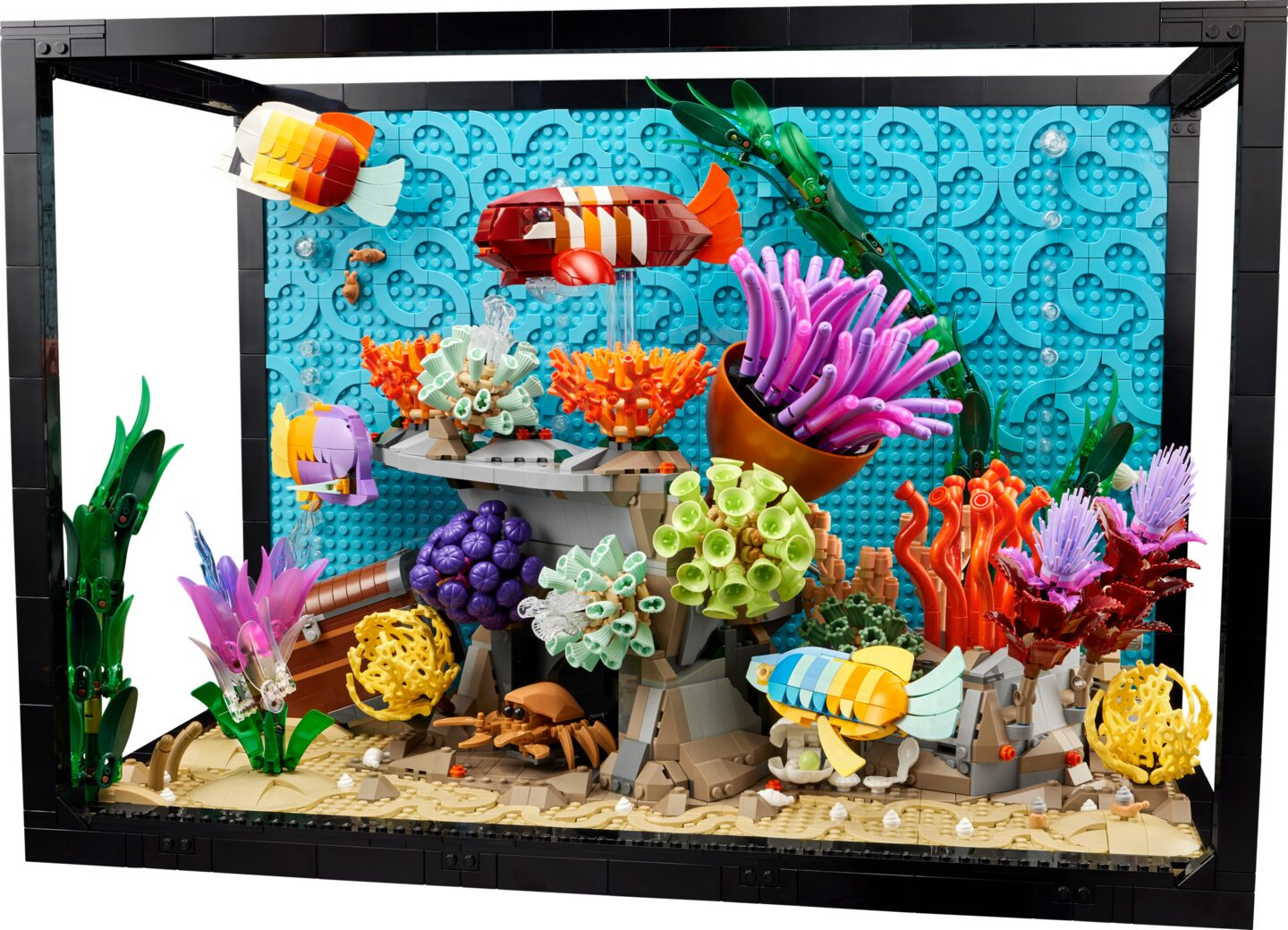 Tropisch aquarium — Afbeelding 1