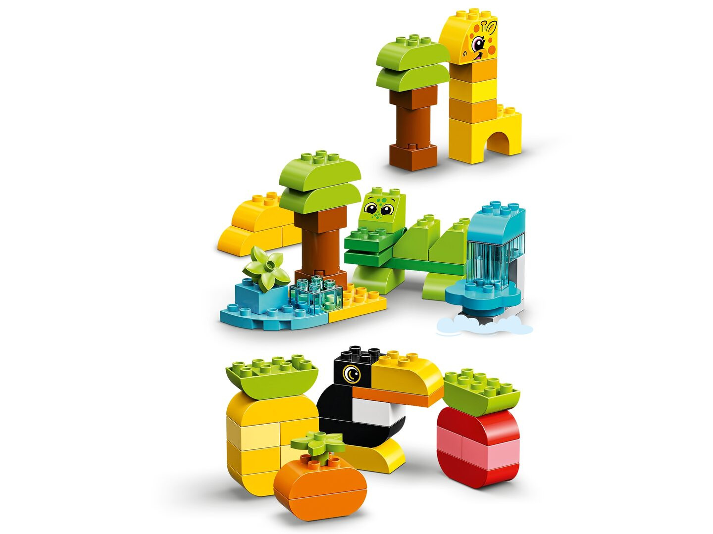 Creatieve dieren — Afbeelding 5