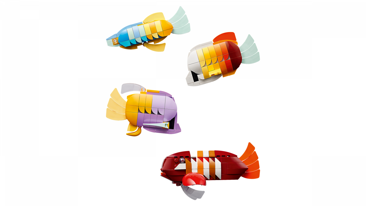 Tropisch aquarium — Afbeelding 6