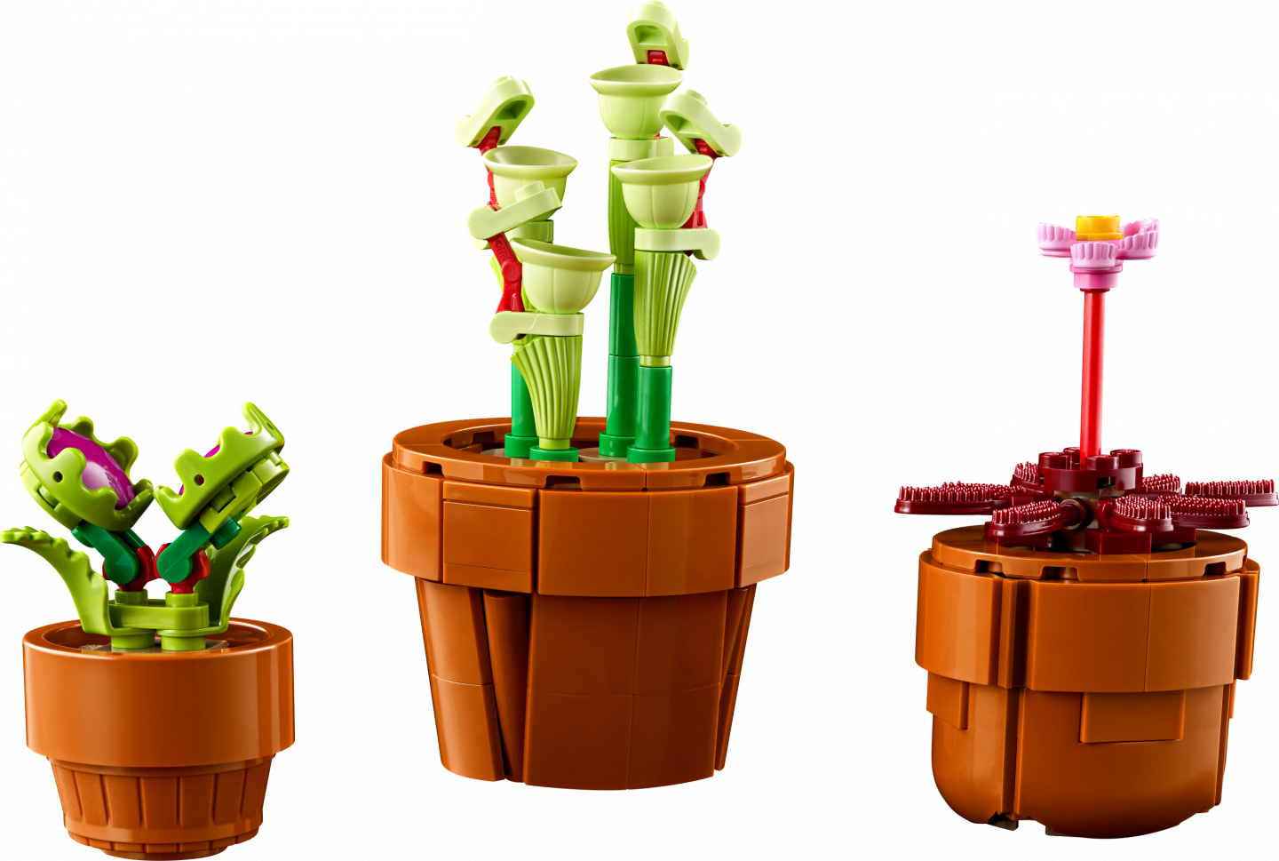 Miniplantjes — Afbeelding 5