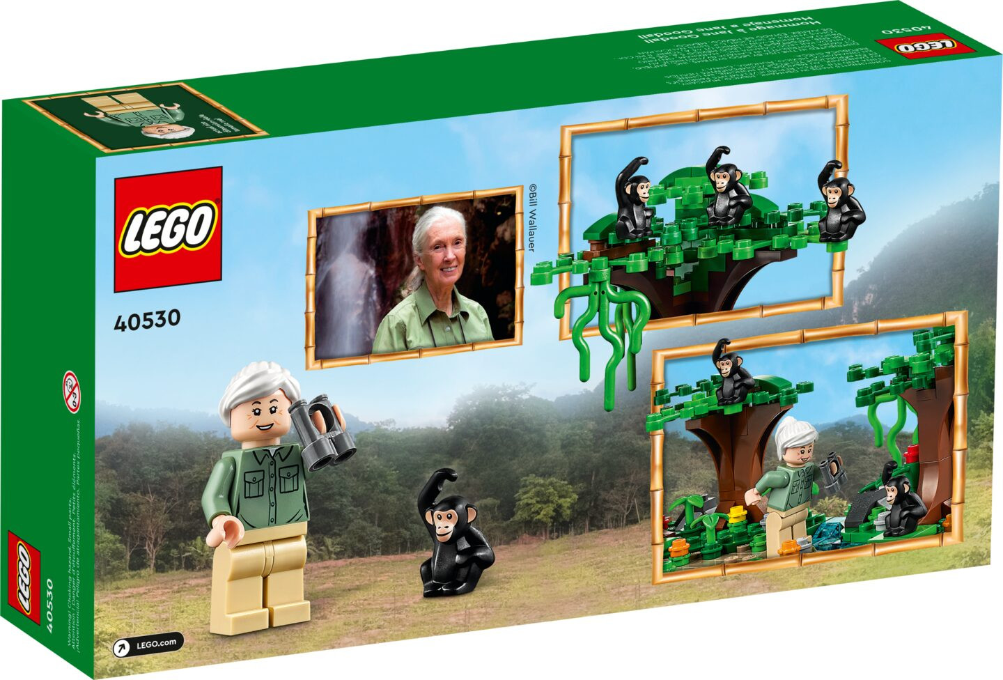 Eerbetoon aan Jane Goodall — Afbeelding 3