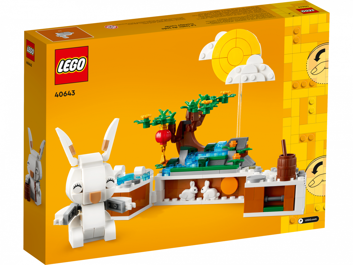 Maankonijn — Afbeelding 3