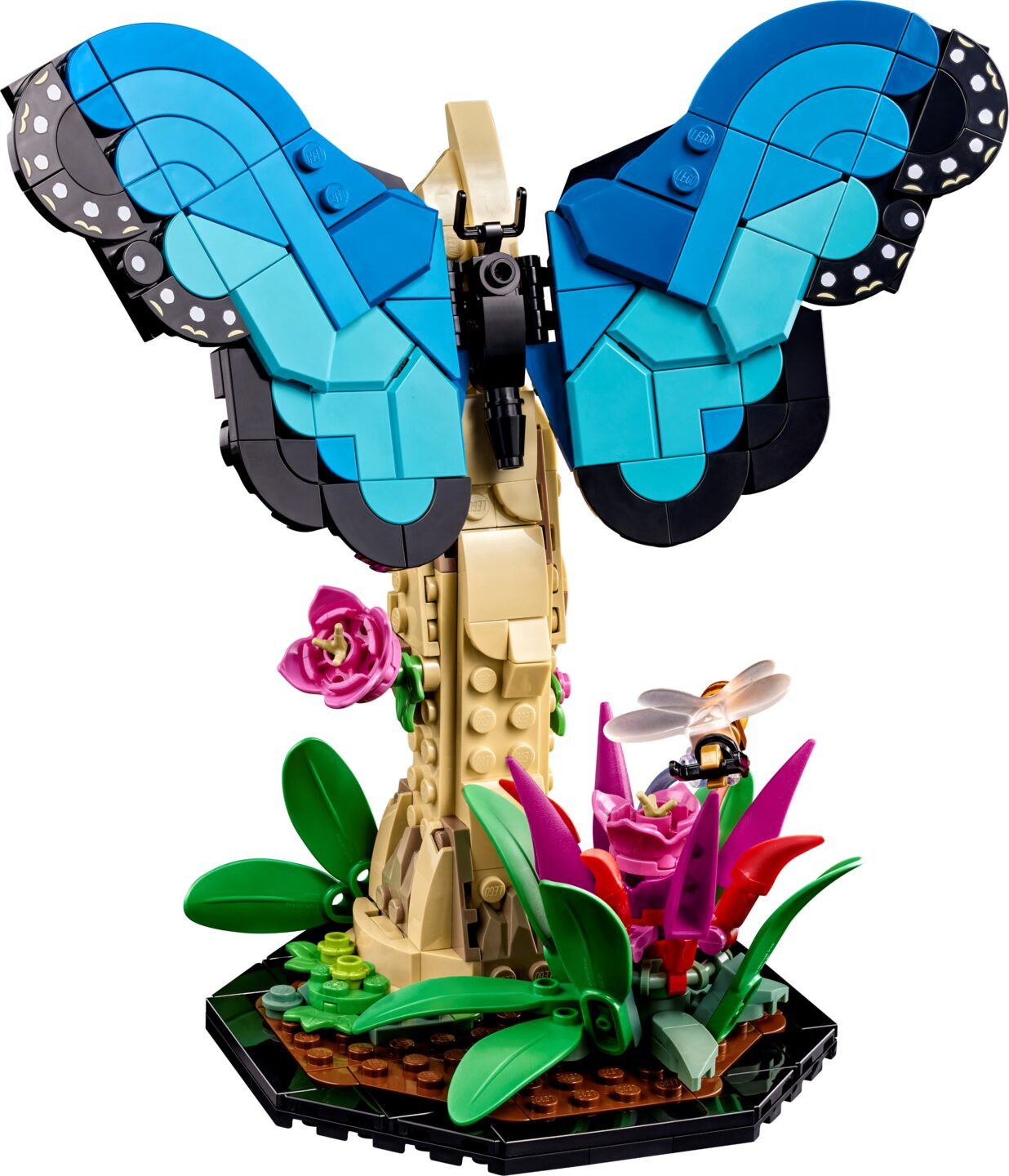 De insectencollectie — Afbeelding 3