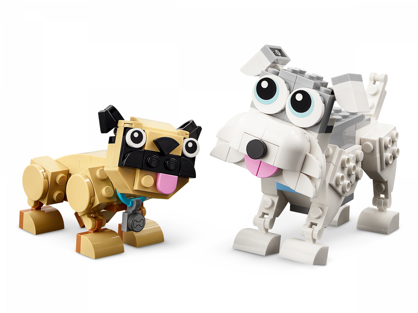 Schattige honden — Afbeelding 4