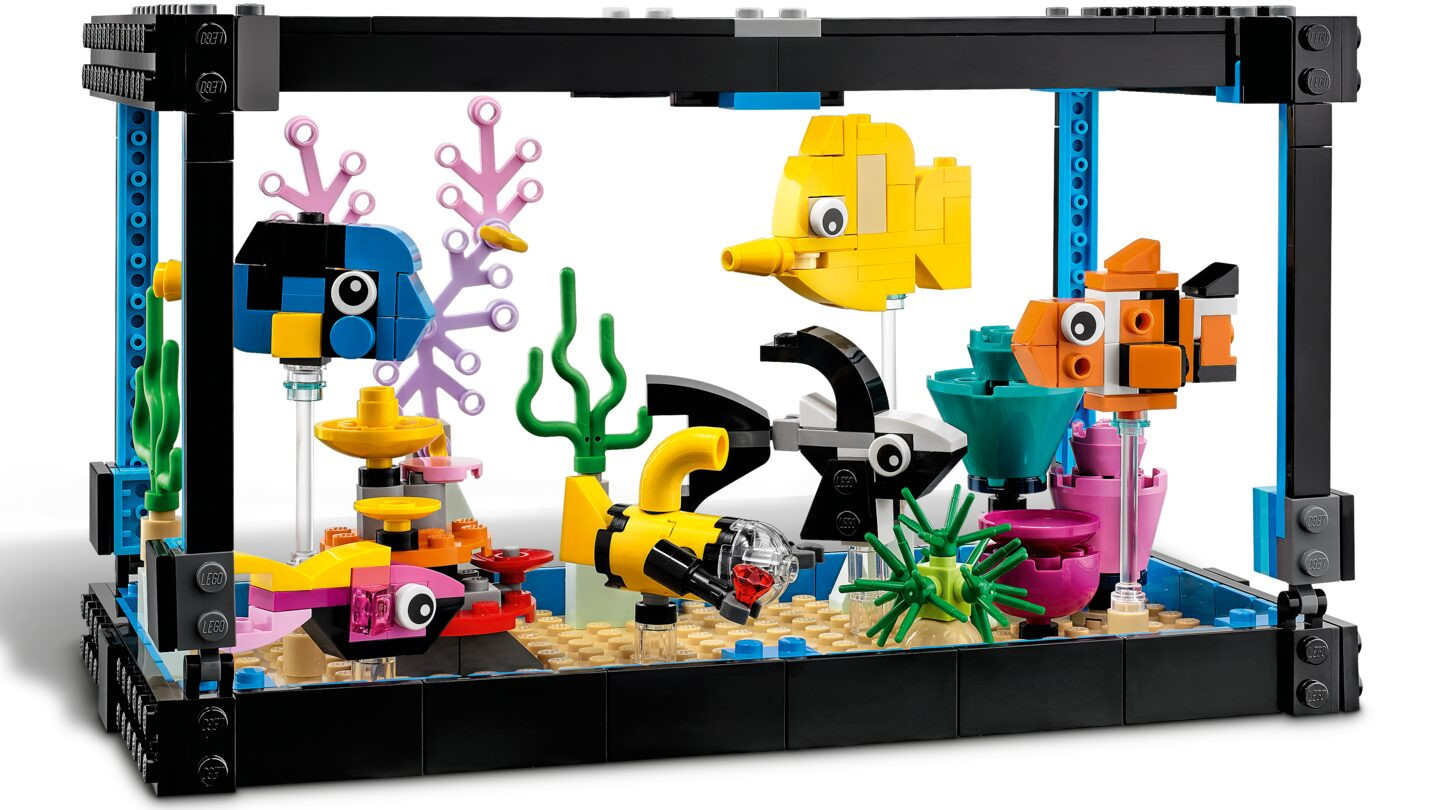 Aquarium — Afbeelding 3