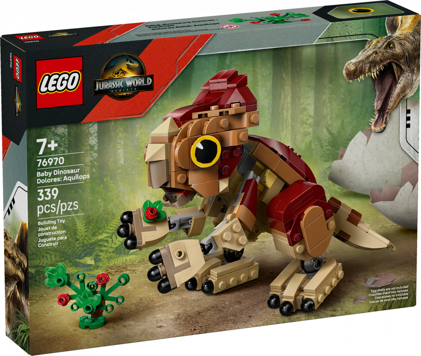 Babydinosaurus Dolores: Aquilops — Afbeelding 2