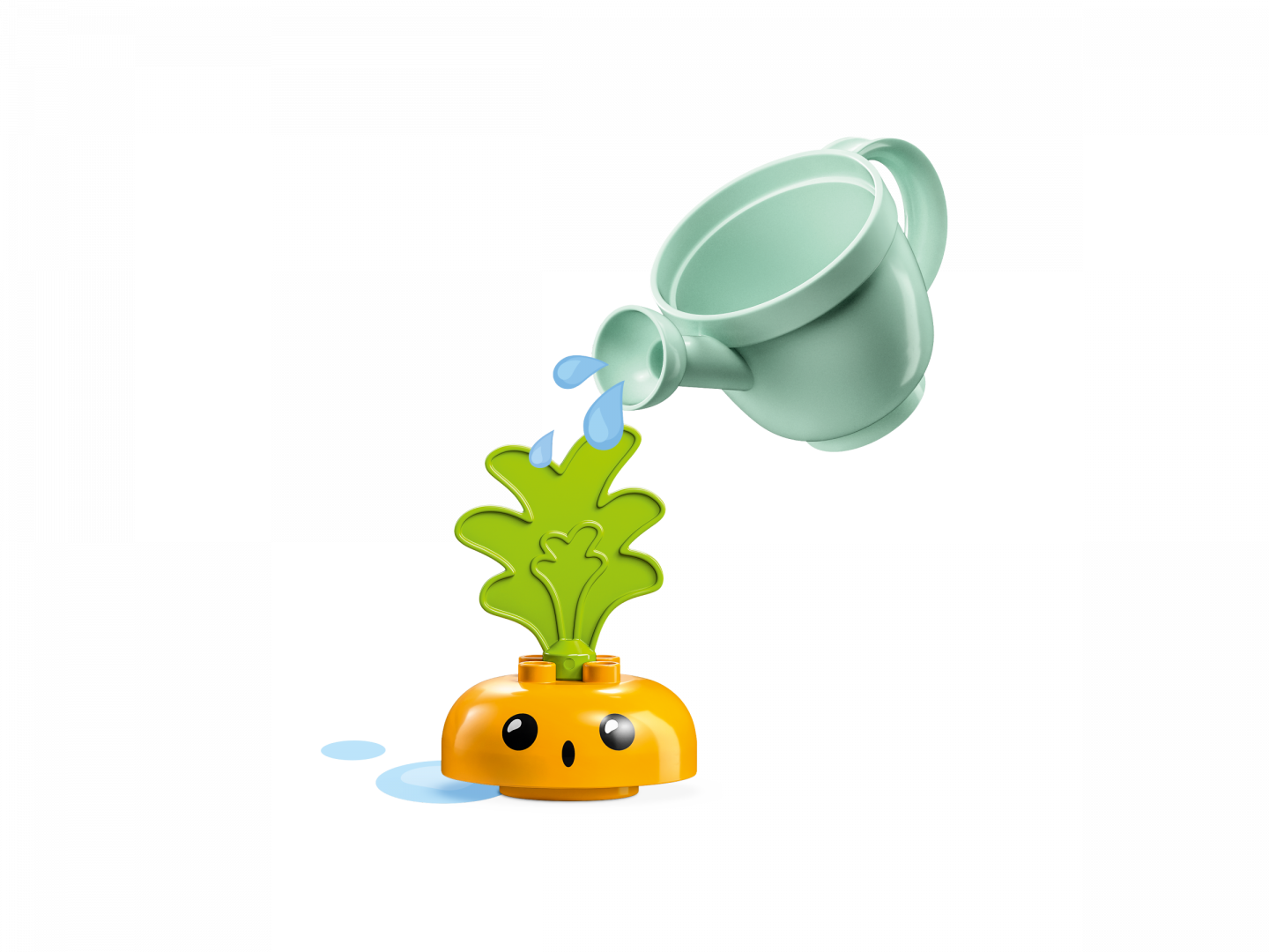 Groeiende wortel — Afbeelding 5