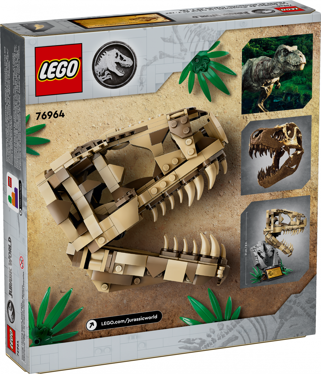 Dinosaurusfossielen: T. rex schedel — Afbeelding 6