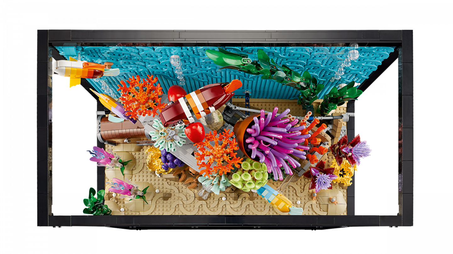 Tropisch aquarium — Afbeelding 3