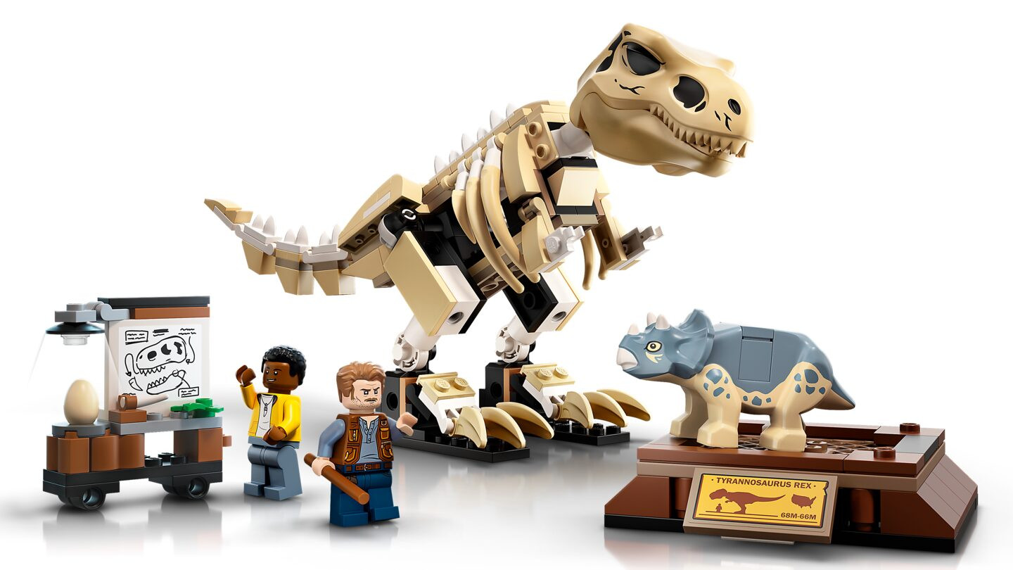 Tentoonstelling dinosaurusfossiel van T. rex — Afbeelding 6