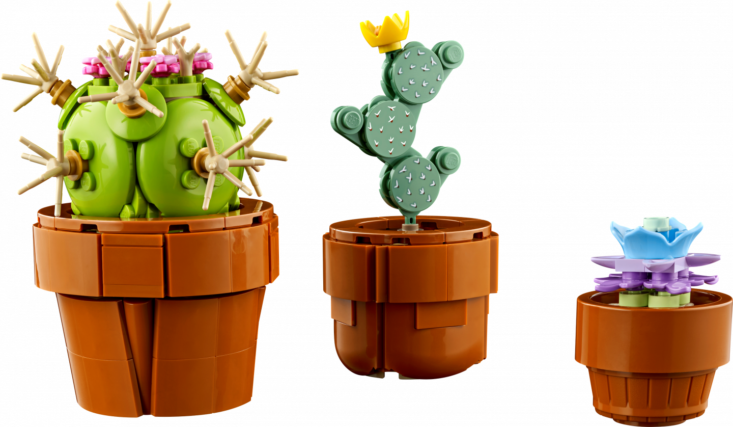 Miniplantjes — Afbeelding 3
