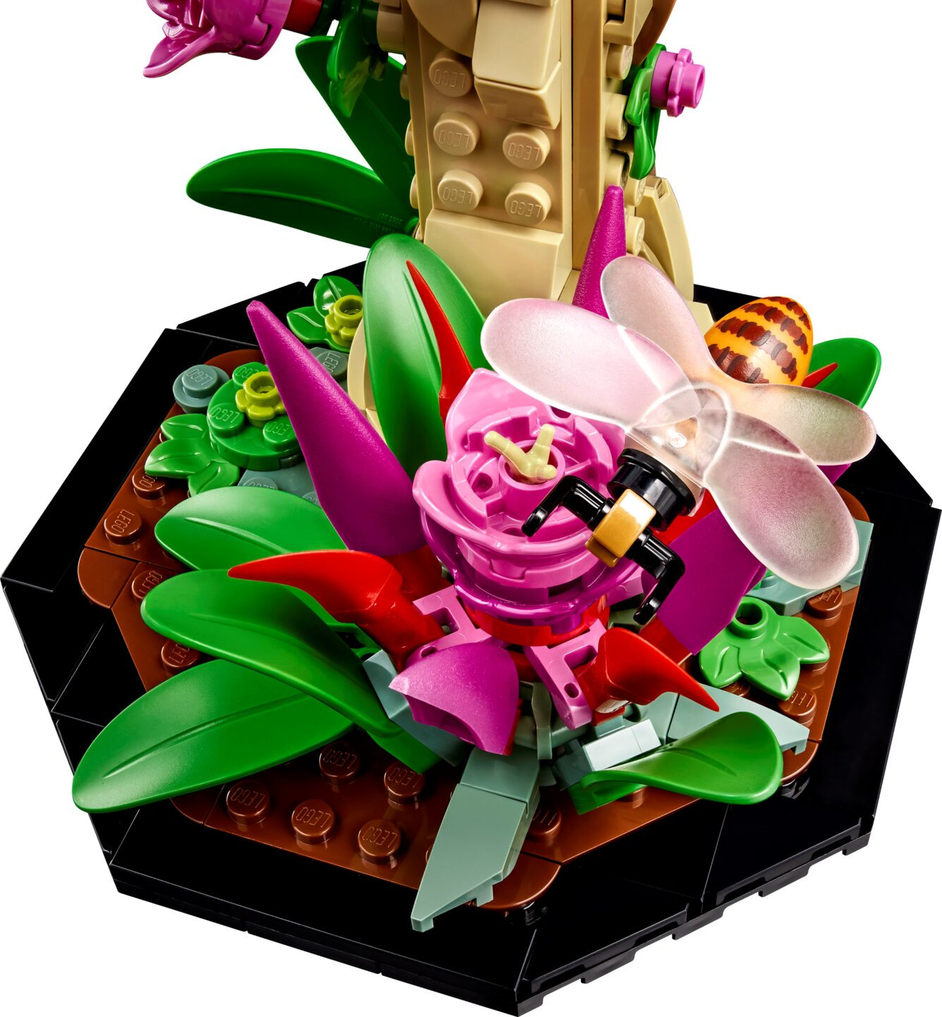 De insectencollectie — Afbeelding 6