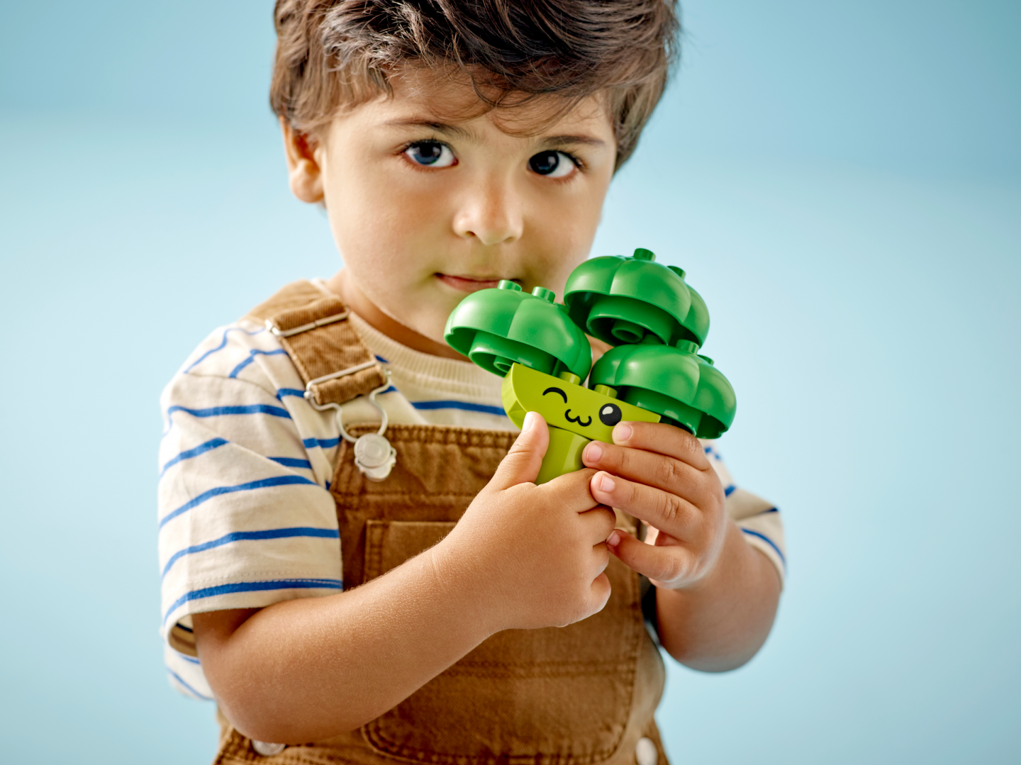 Fruit- en Groentetractor — Afbeelding 7