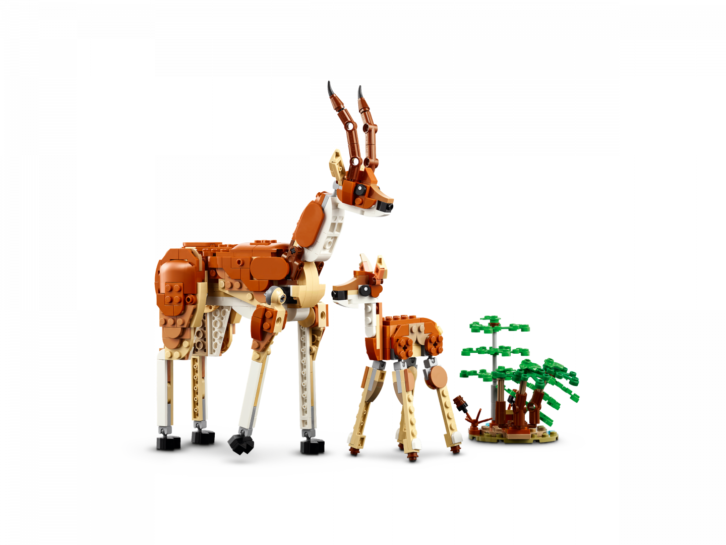 Safaridieren — Afbeelding 6