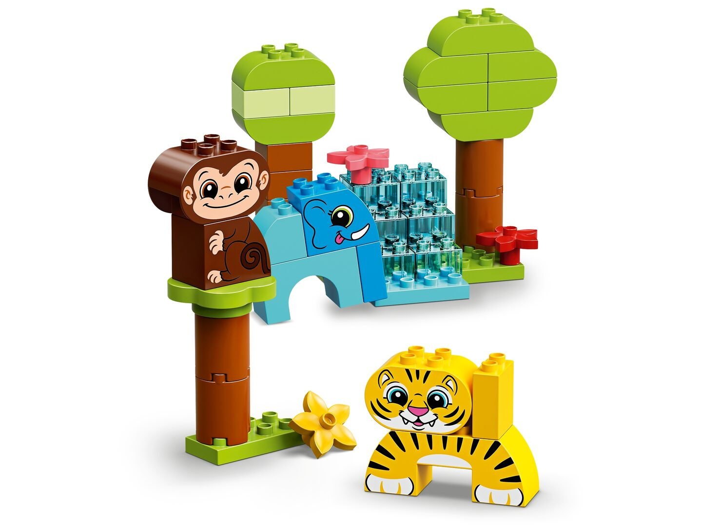 Creatieve dieren — Afbeelding 6
