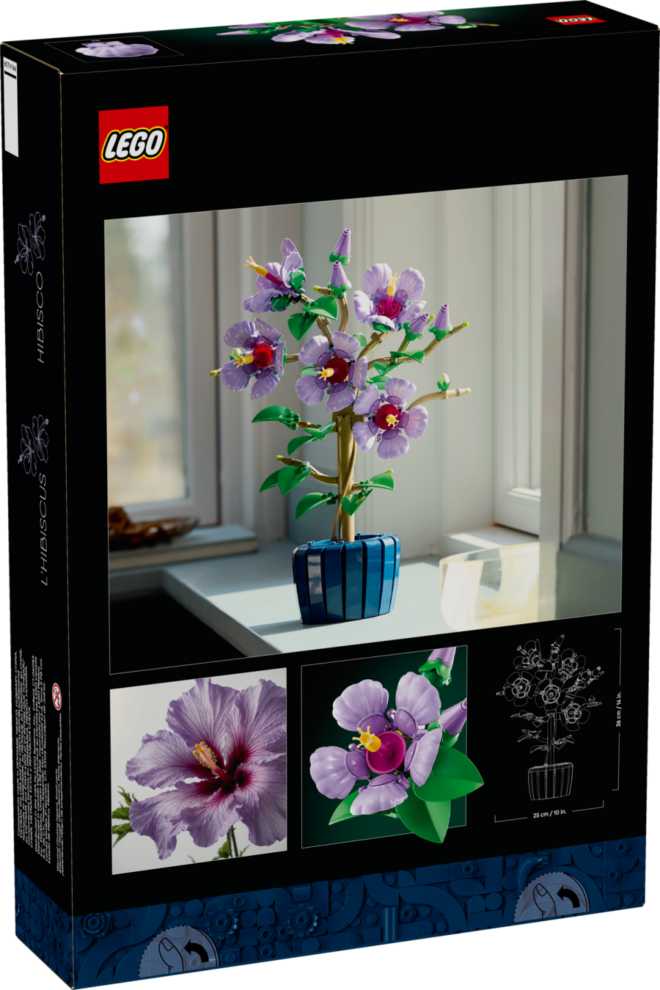 Hibiscus — Afbeelding 12