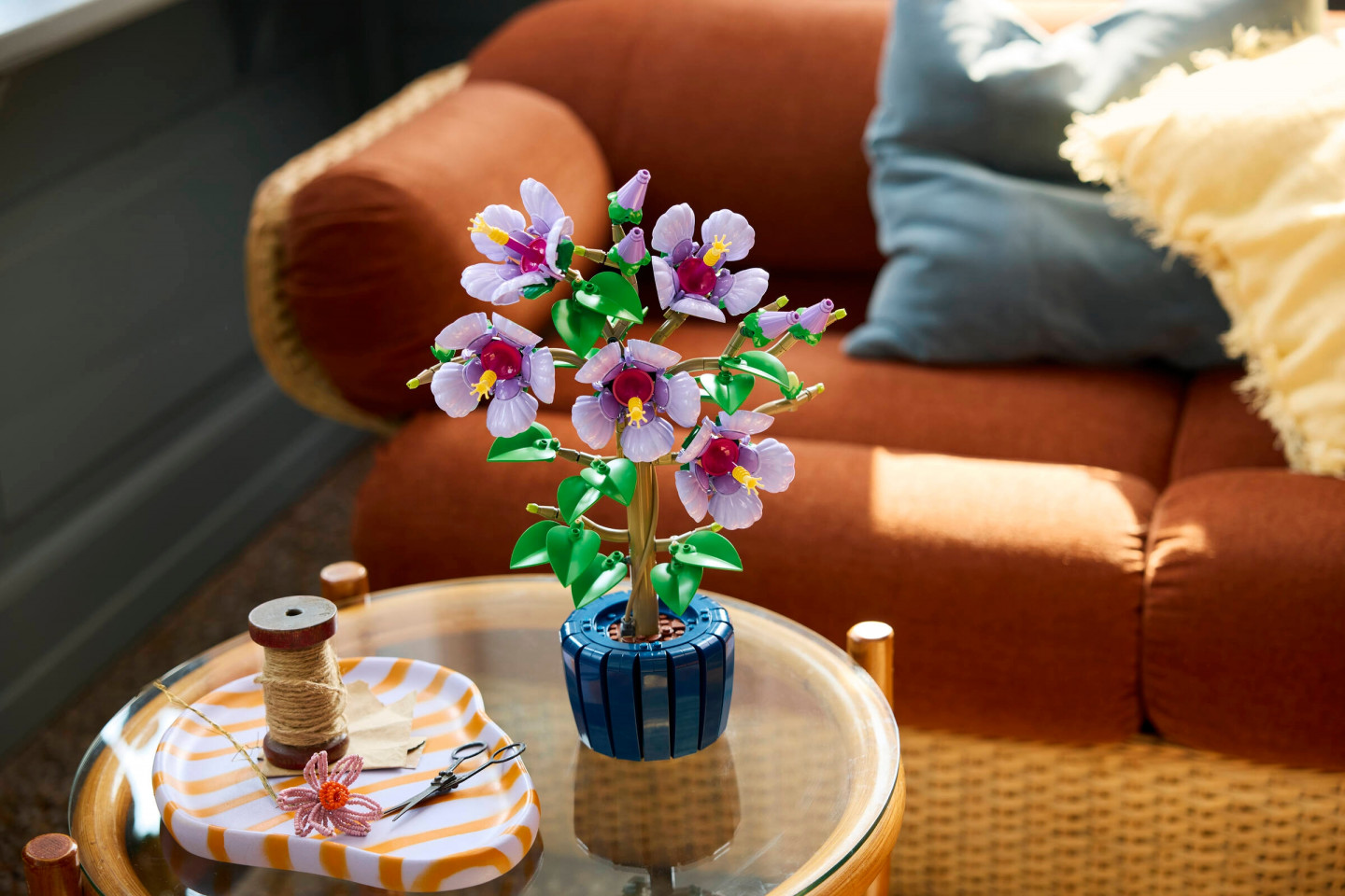 Hibiscus — Afbeelding 4