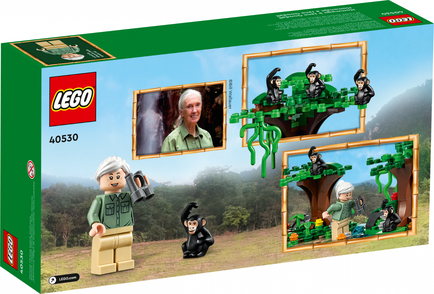 Eerbetoon aan Jane Goodall — Afbeelding 3
