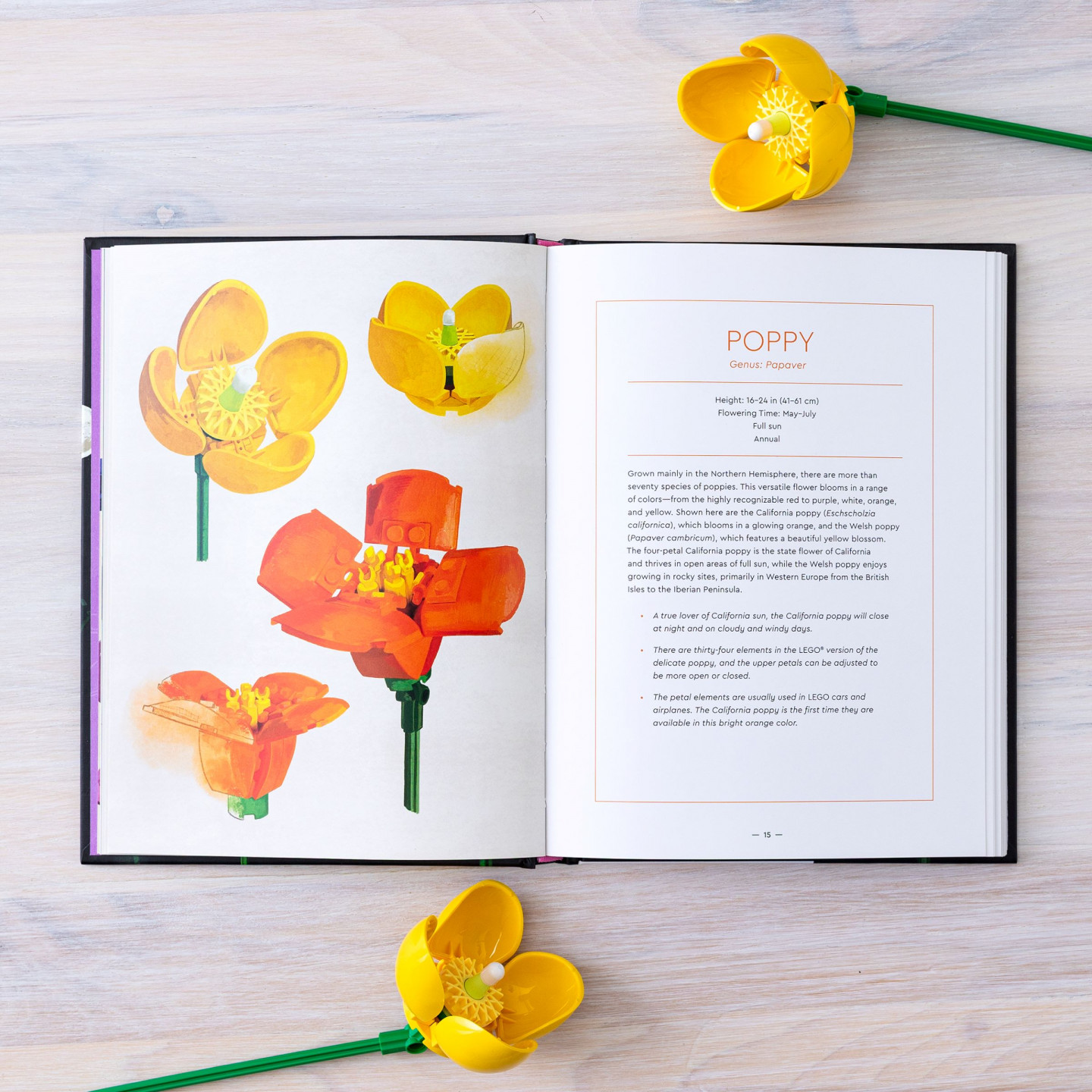 Botanical Almanac — Afbeelding 4