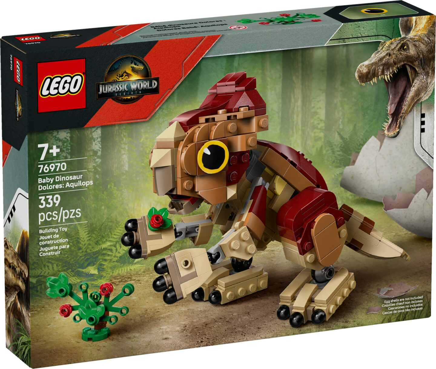 Babydinosaurus Dolores: Aquilops — Afbeelding 2