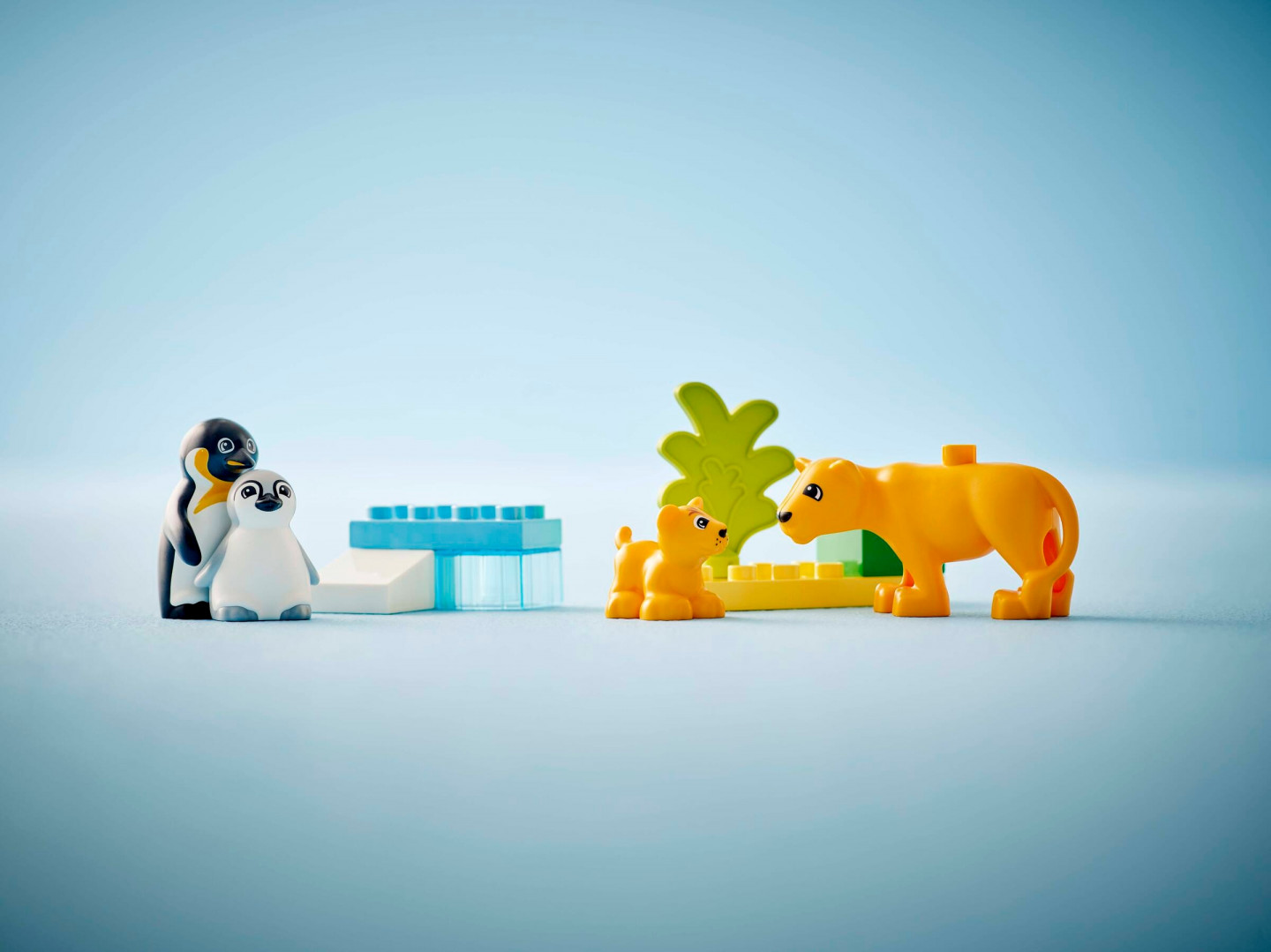 Families van wilde dieren: pinguïns en leeuwen — Afbeelding 8