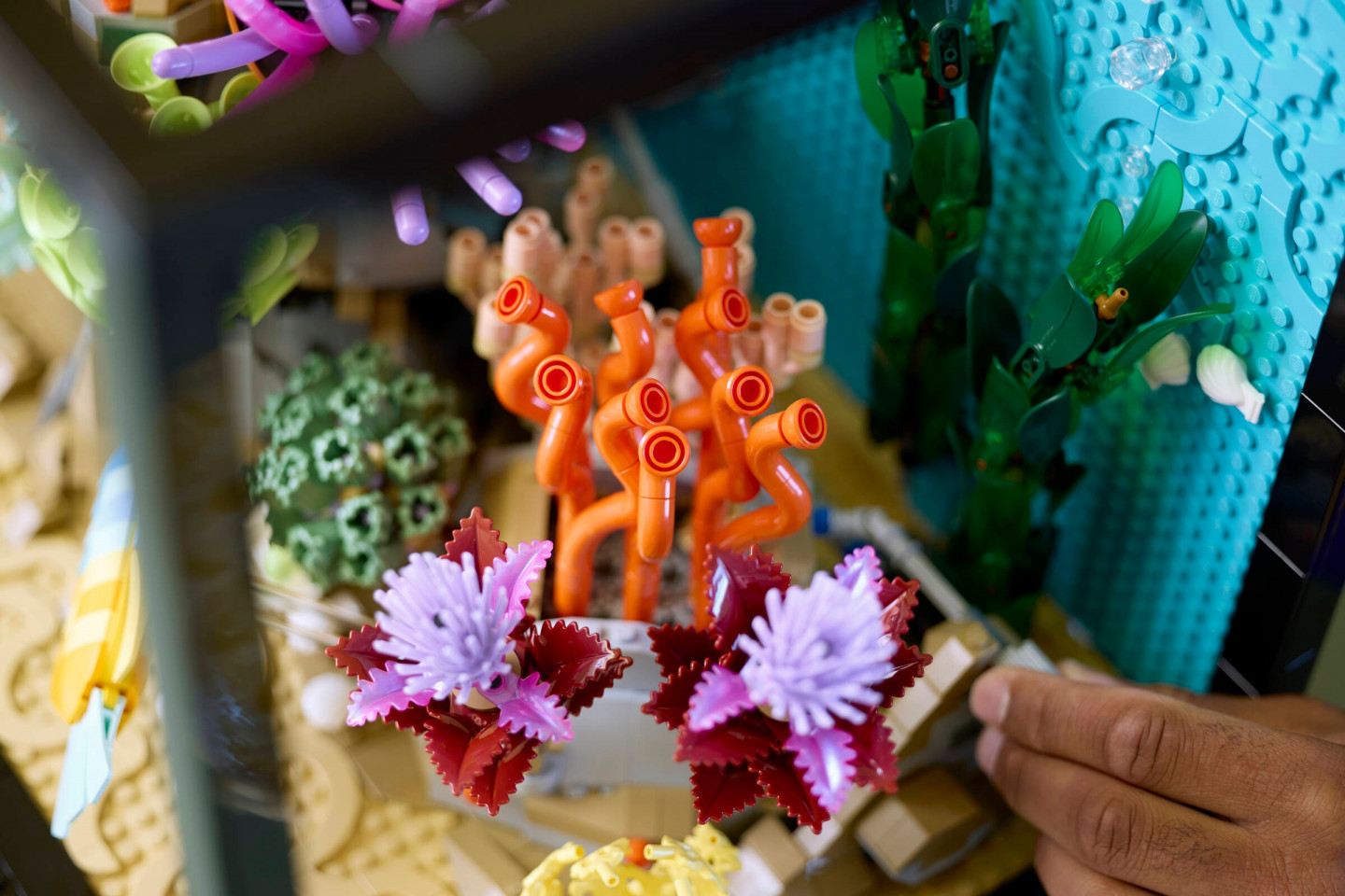 Tropisch aquarium — Afbeelding 12